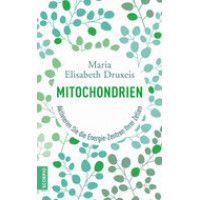 Mitochondrien - Maria Elisabeth Druxeis